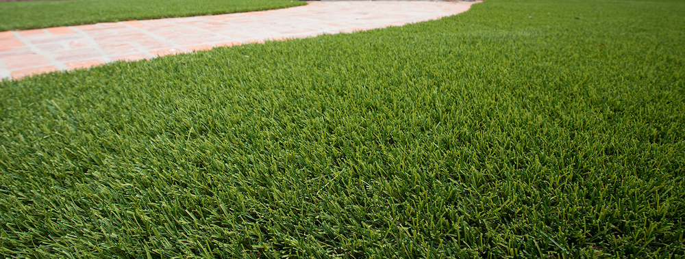 fake dog grass in Chula Vista, CA